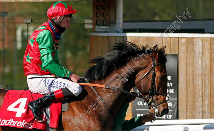 Diligent-Harry-0013 
 DILIGENT HARRY (Adam Kirby) after The Ladbrokes 3 Year Old All-Weather Championships Conditions Stakes
Lingfield 2 Apr 2021 - Pic Steven Cargill / Racingfotos.com