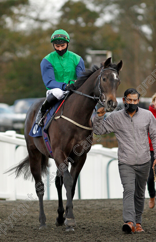 Ford-Madox-Brown-0001 
 FORD MADOX BROWN (Daniel Tudhope) before winning The Ladbrokes Novice Auction Stakes
Lingfield 19 Dec 2020 - Pic Steven Cargill / Racingfotos.com