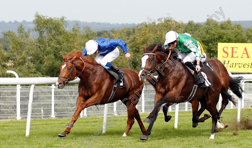 Line-Of-Duty-0001 
 LINE OF DUTY (William Buick) beats PABLO ESCOBARR (right) in The British EBF Peter WIllett Maiden Stakes
Goodwood 4 Sep 2018 - Pic Steven Cargill / Racingfotos.com