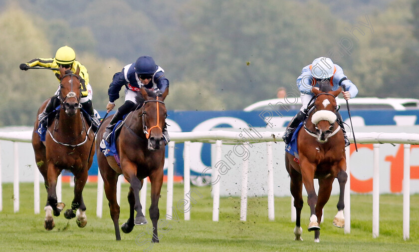 Trillium-0004 
 TRILLIUM (2nd left, Pat Dobbs) beats THE PLATINUM QUEEN (right) in The Coral Flying Childers Stakes
Doncaster 11 Sep 2022 - Pic Steven Cargill / Racingfotos.com