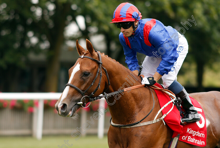 Nayef-Road-0001 
 NAYEF ROAD (Silvestre De Sousa)
Newmarket 11 Jul 2019 - Pic Steven Cargill / Racingfotos.com