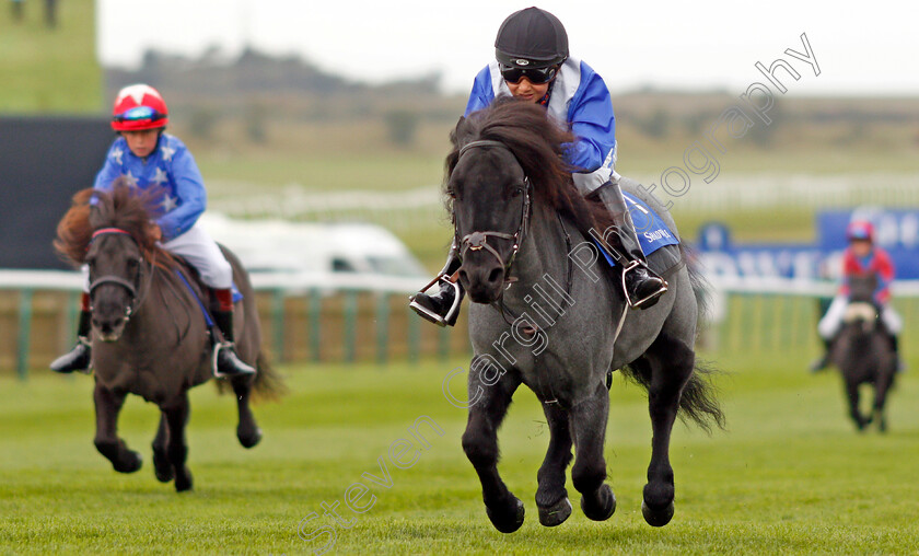 Briar-Smokey-Joe-0004 
 BRIAR SMOKEY JOE (Zak Kent) wins The Shetland Pony Grand National Flat Race Newmarket 29 Sep 2017 - Pic Steven Cargill / Racingfotos.com