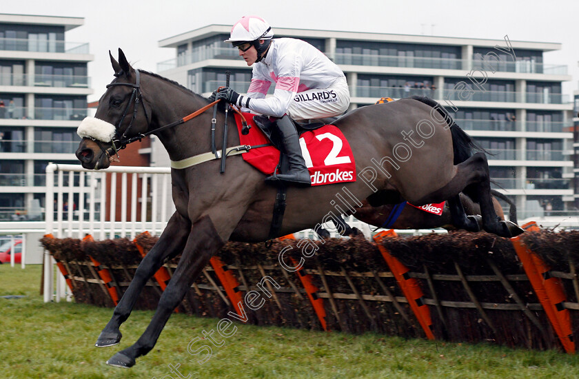 Vicenzo-Mio-0001 
 VICENZO MIO (David Noonan) Newbury 2 Dec 2017 - pic Steven Cargill / Racingfotos.com