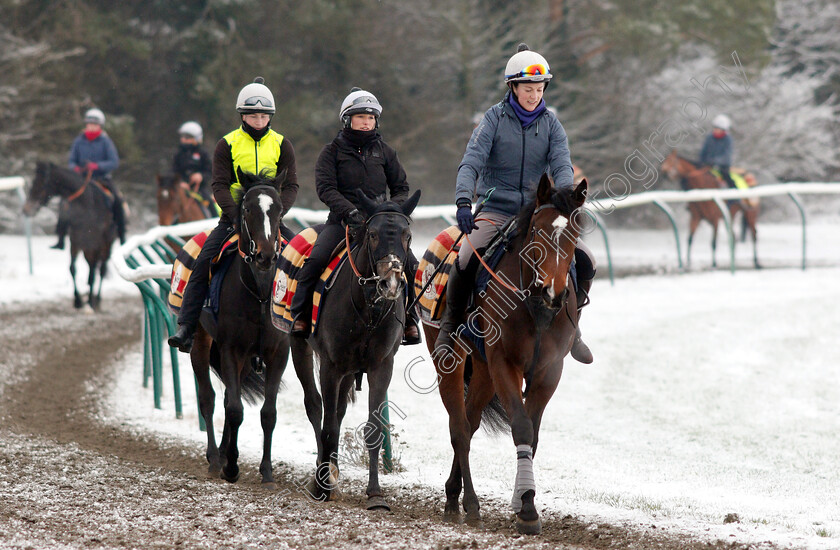 Newmarket-Snow-0014 
 Racehorses training in the snow at Newmarket
1 Feb 2019 - Pic Steven Cargill / Racingfotos.com