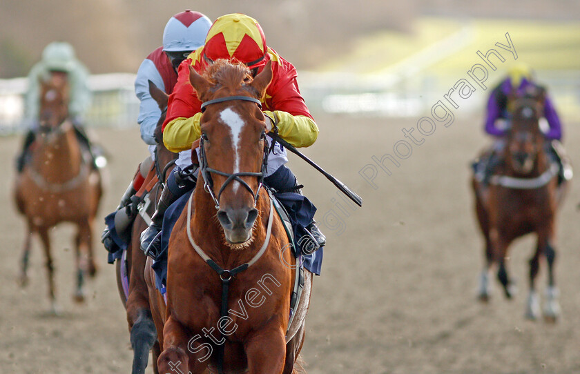 Harrison-Point-0004 
 HARRISON POINT (Hollie Doyle) wins The Ladbrokes Where The Nation Plays EBF Novice Stakes
Lingfield 9 Dec 2019 - Pic Steven Cargill / Racingfotos.com