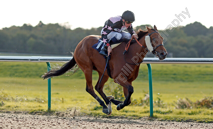 Entertaining-Ben-0002 
 ENTERTAINING BEN (Kieran Shoemark) wins The Fireworks Night At Lingfield Park Handicap Lingfield 5 Oct 2017 - Pic Steven Cargill / Racingfotos.com