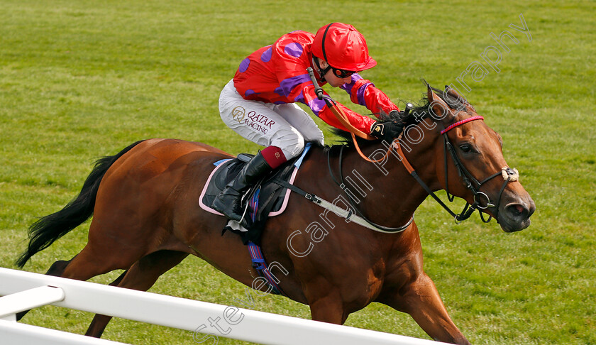 Dreamloper-0003 
 DREAMLOPER (Oisin Muprhy) wins The British Racecourses Join Sunflower Lanyard Scheme Valiant Stakes
Ascot 23 Jul 2021 - Pic Steven Cargill / Racingfotos.com