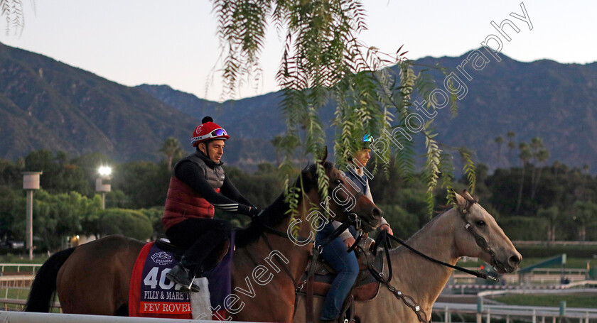 Fev-Rover-0001 
 FEV ROVER training for The Breeders' Cup Filly & Mare Turf
Santa Anita USA, 31 October 2023 - Pic Steven Cargill / Racingfotos.com