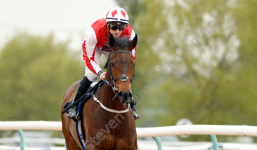 Alexander-James-0005 
 ALEXANDER JAMES (Jamie Gormley) wins The Southwell Racecourse Joules Clothing Sale 24th July Novice Stakes
Southwell 29 Apr 2019 - Pic Steven Cargill / Racingfotos.com