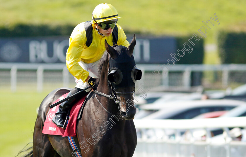 Maljoom-0003 
 MALJOOM (Tom Marquand)
Goodwood 31 Jul 2024 - Pic Steven Cargill / Racingfotos.com