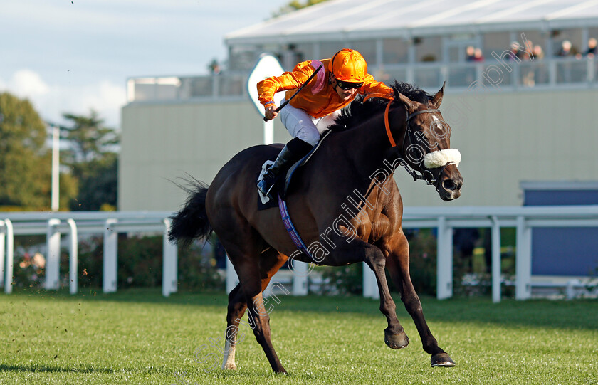 Rajinksy-0004 
 RAJINSKY (Pierre-Louis Jamin) wins The 25 Years Since Frankie's Magnificent Seven Handicap
Ascot 1 Oct 2021 - Pic Steven Cargill / Racingfotos.com