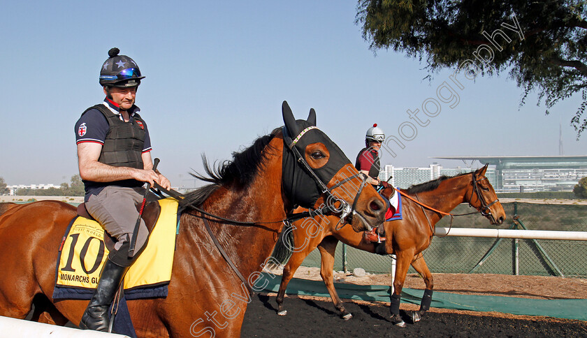 Monarchs-Glen-and-Big-Orange-0001 
 MONARCHS GLEN (nearest) and BIG ORANGE walk back to their stables after exercise at Meydan 28 Mar 2018 - Pic Steven Cargill / Racingfotos.com