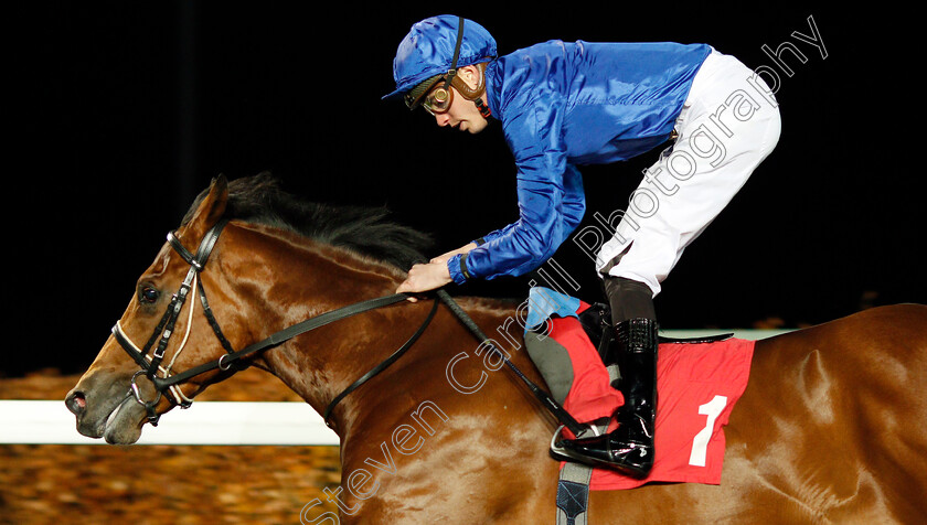 Boccaccio-0006 
 BOCCACCIO (James Doyle) wins The 100% Profit Boost At 32redsport.com Novice Stakes
Kempton 27 Nov 2019 - Pic Steven Cargill / Racingfotos.com