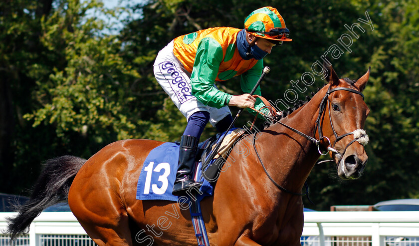 Sea-Fern-0001 
 SEA FERN (David Probert)
Salisbury 8 Jun 2021 - Pic Steven Cargill / Racingfotos.com