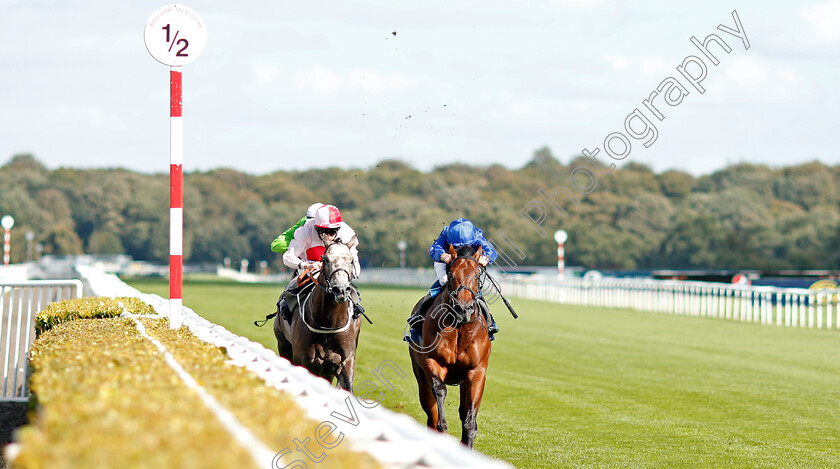 Lazuli-0002 
 LAZULI (right, William Buick) beats MISTY GREY (left) in The British Stallion Studs EBF Conditions Stakes
Doncaster 11 Sep 2019 - Pic Steven Cargill / Racingfotos.com