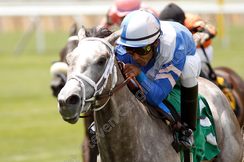 Stonefactor-0006 
 STONEFACTOR (Kendrick Carmouche) wins The Maiden Special Weight
Belmont Park 8 Jun 2018 - Pic Steven Cargill / Racingfotos.com