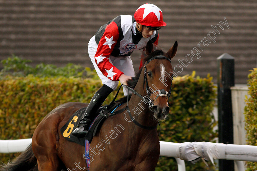 Exprompt-0001 
 EXPROMPT (James Doyle) Kempton 11 Oct 2017 - pic Steven Cargill / Racingfotos.com