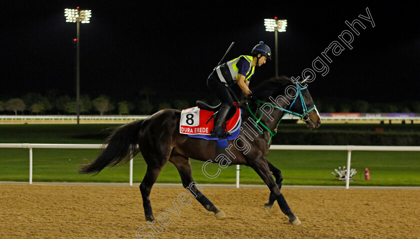 Dura-Erede-0001 
 DURA EREDE training for The Dubai World Cup
Meydan Dubai 27 Mar 2024 - Pic Steven Cargill / Racingfotos.com