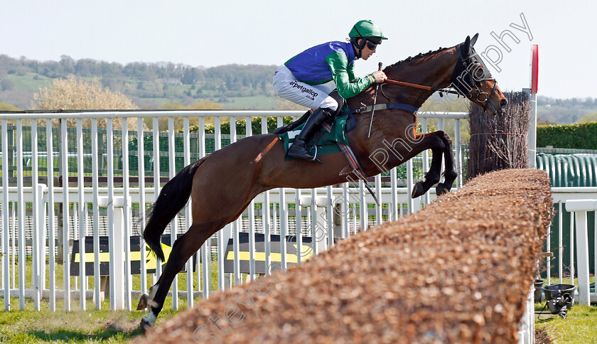 Midnight-Target-0001 
 MIDNIGHT TARGET (Lee Edwards) wins The EBF / TBA Mares Novices Handicap Chase Cheltenham 19 Apr 2018 - Pic Steven Cargill / Racingfotos.com