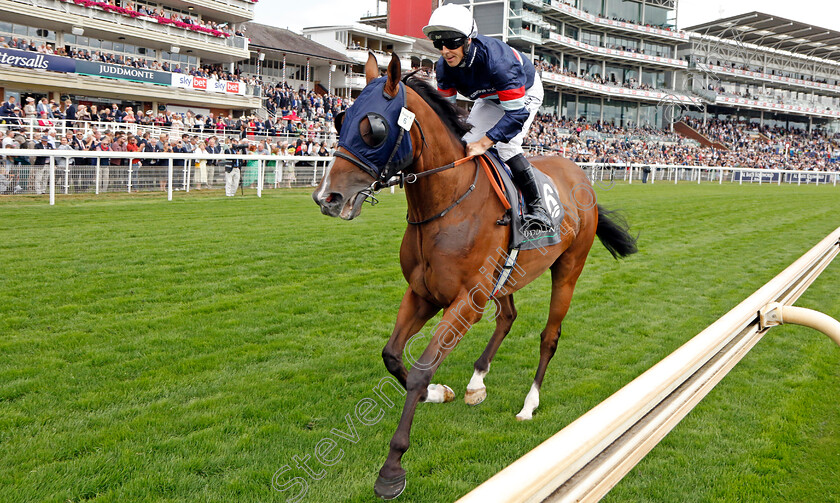 Sir-Busker 
 SIR BUSKER (Ben Curtis)
York 17 Aug 2022 - Pic Steven Cargill / Racingfotos.com