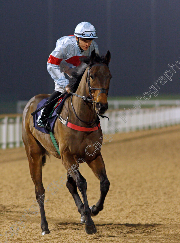 Mykonos-St-John 
 MYKONOS ST JOHN (Phil Dennis)
Southwell 3 Mar 2022 - Pic Steven Cargill / Racingfotos.com