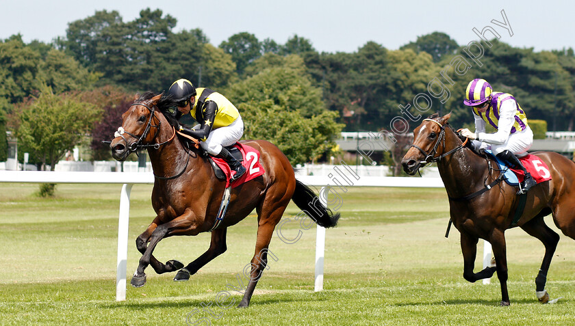 Jumira-Bridge-0001 
 JUMIRA BRIDGE (Kerrin McEvoy) wins The Sandown Park Supports Racing Staff Week Handicap
Sandown 5 Jul 2019 - Pic Steven Cargill / Racingfotos.com