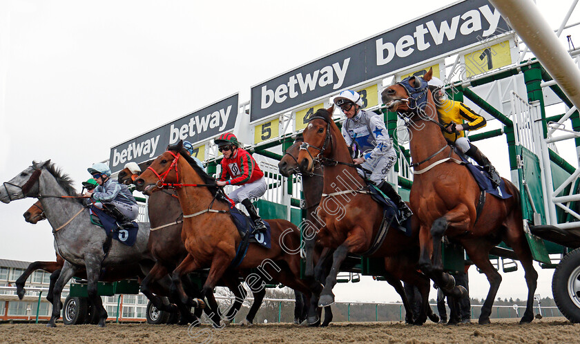 Easy-Tiger-0002 
 EASY TIGER (red, Liam Keniry) breaks with FAYEZ (2nd right) and TOWERLANDS PARK (right) before winning The Betway Handicap Lingfield 6 Jan 2018 - Pic Steven Cargill / Racingfotos.com