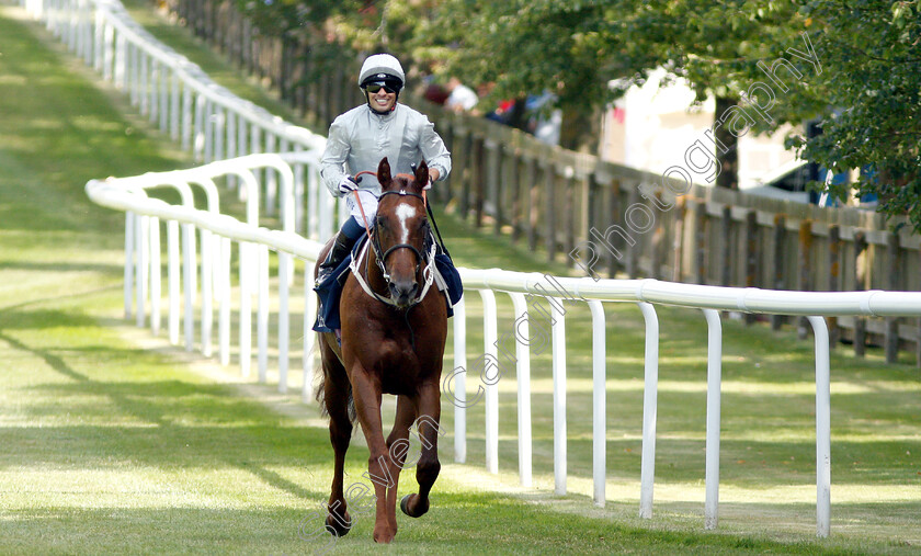 Communique-0007 
 COMMUNIQUE (Silvestre De Sousa) after The Princess Of Wales's Stakes
Newmarket 11 Jul 2019 - Pic Steven Cargill / Racingfotos.com