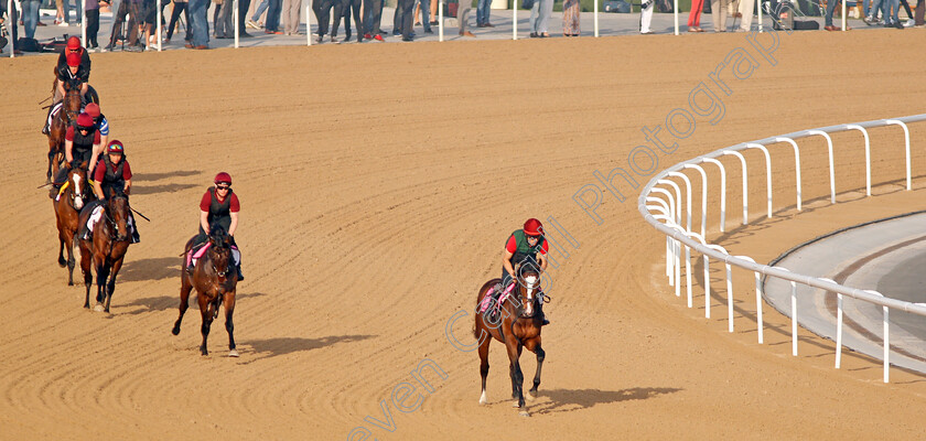 Aidan-O Brien-string-0003 
 THREEANDFOURPENCE leads SEAHENGE, MENDELSSOHN and other stable companions from Aidan O'Brien exercising at Meydan 29 Mar 2018 - Pic Steven Cargill / Racingfotos.com