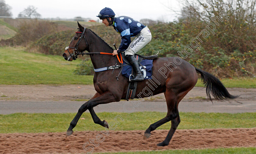 Hardy-Articos-0001 
 HARDY ARTICOS (Lee Edwards)
Chepstow 7 Dec 2019 - Pic Steven Cargill / Racingfotos.com