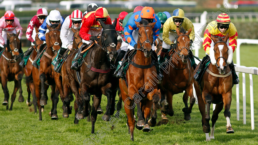 Your-Honor-and-Skycutter-0001 
 YOUR HONOR (right, Gavin Brouder) with SKYCUTTER (centre, Tristan Durrell)
Aintree 12 Apr 2024 - Pic Steven Cargill / Racingfotos.com