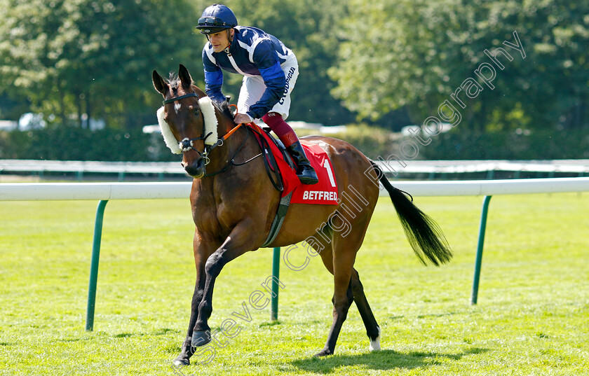 Reshoun-0001 
 RESHOUN (Callum Rodriguez)
Haydock 27 May 2023 - Pic Steven Cargill / Racingfotos.com