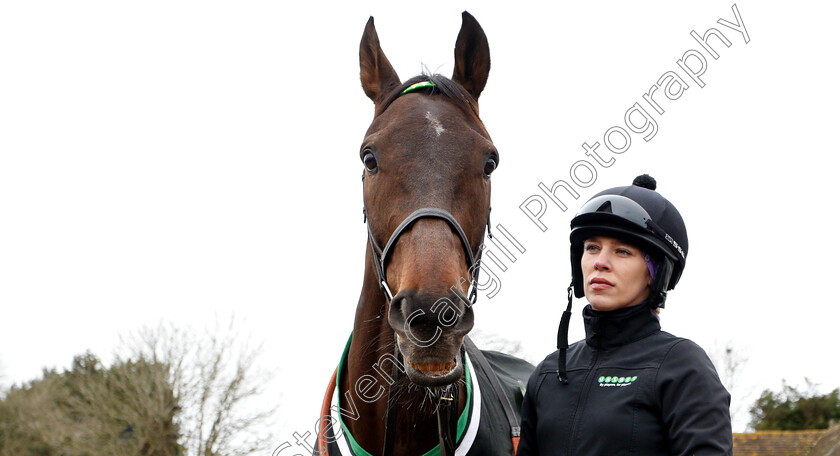 Buveur-D Air-0001 
 BUVEUR D'AIR with groom Hannah Maria Ryan
Lambourn 18 Feb 2019 - Pic Steven Cargill / Racingfotos.com