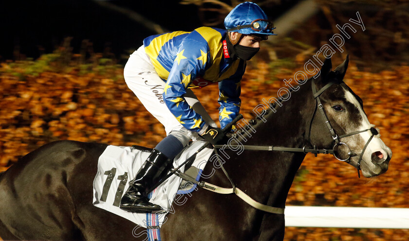 Sicilian-Sosizza-0001 
 SICILIAN SOSIZZA (Cameron Noble)
Kempton 6 Dec 2023 - Pic Steven Cargill / Racingfotos.com