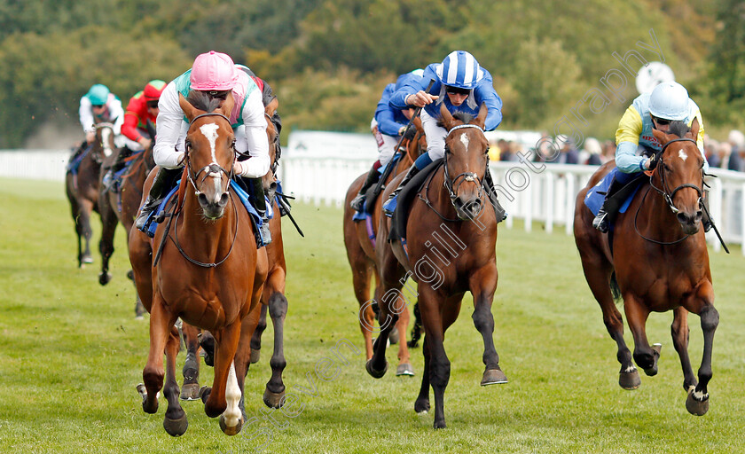 Snow-Shower-0003 
 SNOW SHOWER (left, James Doyle) beats SHURAFFA (centre) and ALASH ORDA (right) in The Bob McCreery Memorial EBF Quidhampton Maiden Fillies Stakes
Salisbury 5 Sep 2019 - Pic Steven Cargill / Racingfotos.com