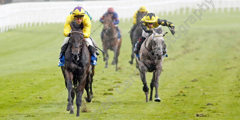 Amleto-0003 
 AMLETO (Tom Marquand) wins The Deepbridge Syndicate Maiden Stakes
Chester 10 May 2023 - Pic Steven Cargill / Racingfotos.com