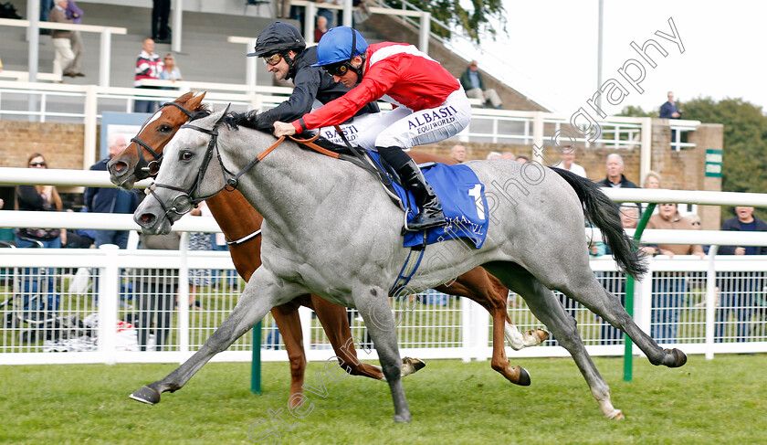 Dark-Lady-0004 
 DARK LADY (Pat Dobbs) beats MILLISLE (farside) in The Shadwell Dick Poole Stakes
Salisbury 5 Sep 2019 - Pic Steven Cargill / Racingfotos.com