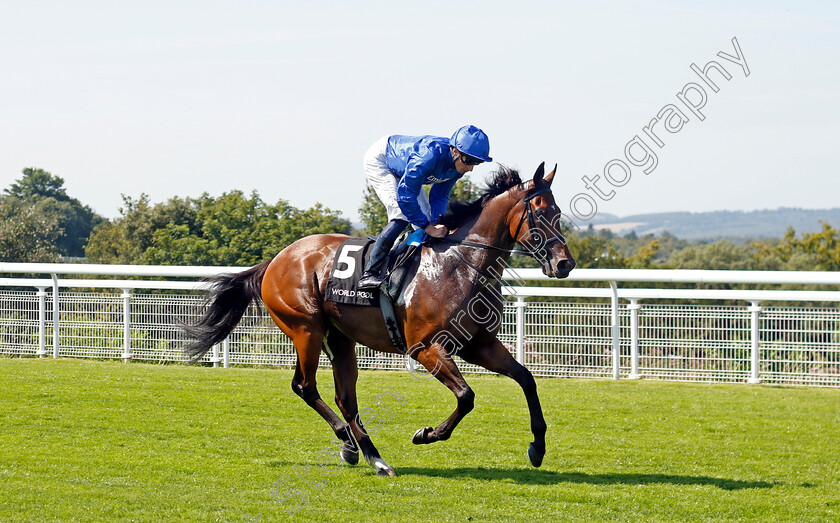 Noble-Dynasty-0001 
 NOBLE DYNASTY (William Buick)
Goodwood 30 Jul 2024 - Pic Steven Cargill / Racingfotos.com