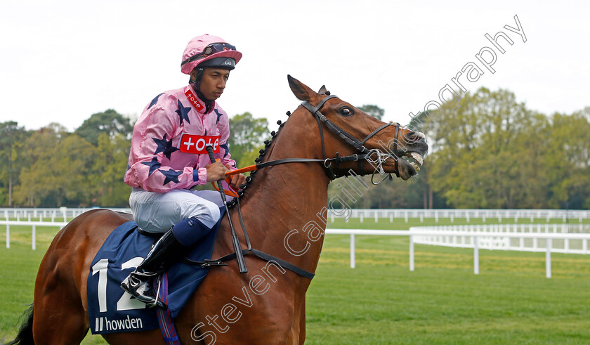 Global-Esteem-0001 
 GLOBAL ESTEEM (Kaiya Fraser)
Ascot 3 May 2023 - Pic Steven Cargill / Racingfotos.com