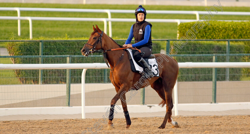 Geologist-0002 
 GEOLOGIST training at the Dubai Racing Carnival
Meydan 1 Mar 2024 - Pic Steven Cargill / Racingfotos.com