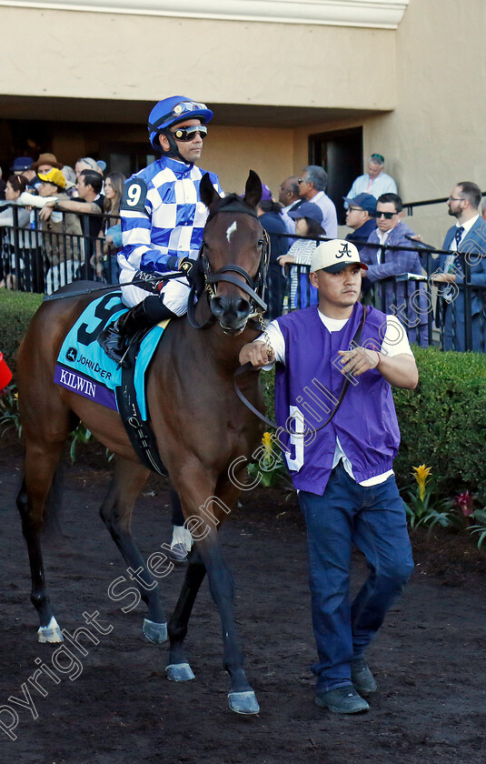 Kilwin-0001 
 KILWIN (Jose Lezcano)
Del Mar 1 Nov 2024 - Pic Steven Cargill / Racingfotos.com