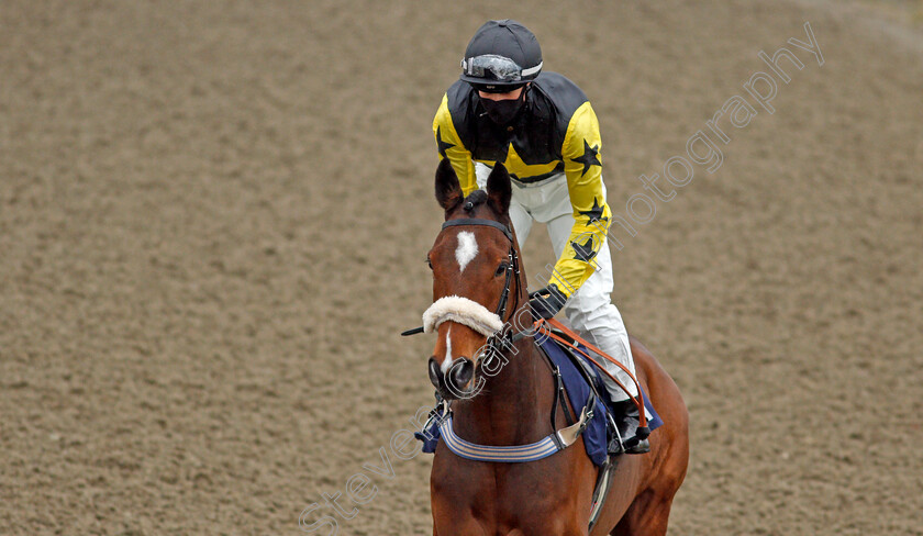 Oslo-0001 
 OSLO (Mark Crehan)
Lingfield 10 Mar 2021 - Pic Steven Cargill / Racingfotos.com