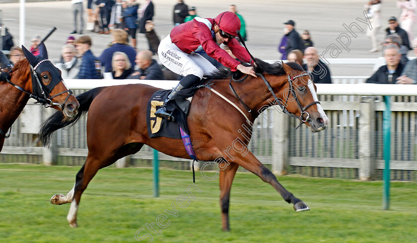 High-Point-0003 
 HIGH POINT (George Downing) wins The British EBF Ruby Anniversary Nursery
Newmarket 25 Oct 2023 - Pic Steven Cargill / Racingfotos.com