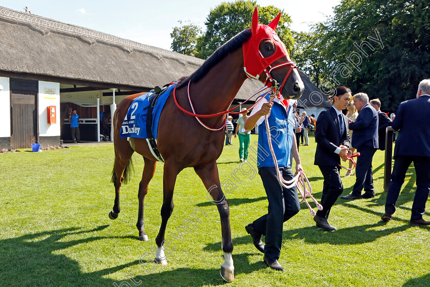 King-Hermes-0001 
 KING HERMES 
Newmarket 9 Jul 2022 - Pic Steven Cargill / Racingfotos.com