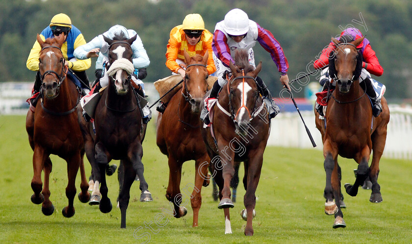 Rare-Groove-0001 
 RARE GROOVE (P J McDonald)
York 21 Aug 2019 - Pic Steven Cargill / Racingfotos.com