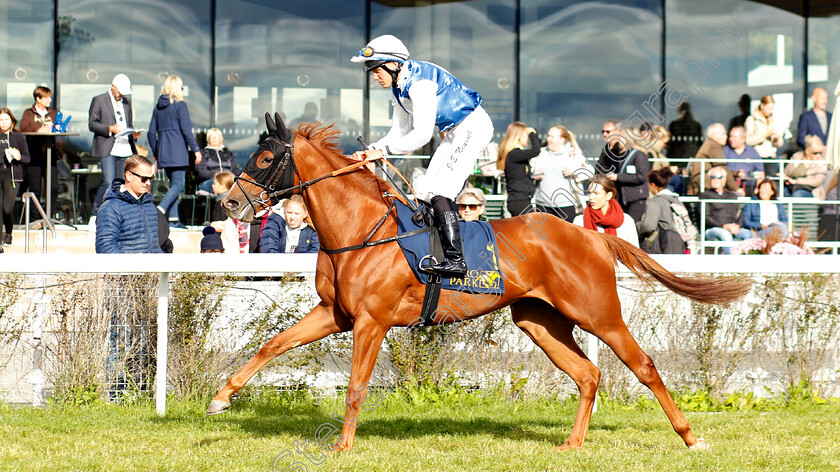 Starlight-Song-0001 
 STARLIGHT SONG (Jan-Erik Neuroth)
Bro Park 18 Sep 2022 - Pic Steven Cargill / Racingfotos.com