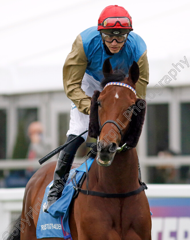 Beshtani-0001 
 BESHTANI (James Doyle)
Epsom 31 May 2024 - Pic Steven Cargill / Racingfotos.com