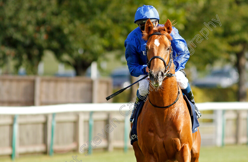 Modern-Games-0002 
 MODERN GAMES (William Buick) winner of The Tattersalls Stakes
Newmarket 23 Sep 2021 - Pic Steven Cargill / Racingfotos.com