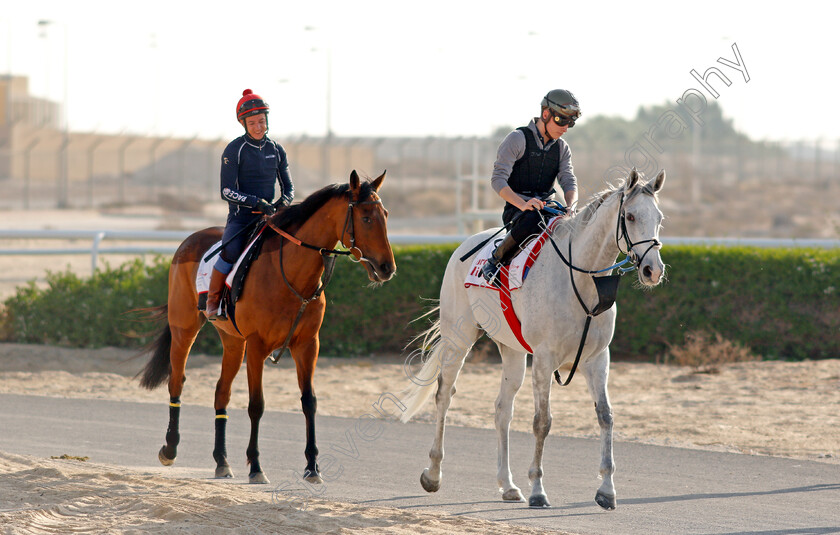 Lord-Glitters-and-Fev-Rover-0001 
 LORD GLITTERS (Jason Watson) leads FEV ROVER (Paddy Mathers) exercising in preparation for Friday's Bahrain International Trophy
Sakhir Racecourse, Bahrain 17 Nov 2021 - Pic Steven Cargill / Racingfotos.com