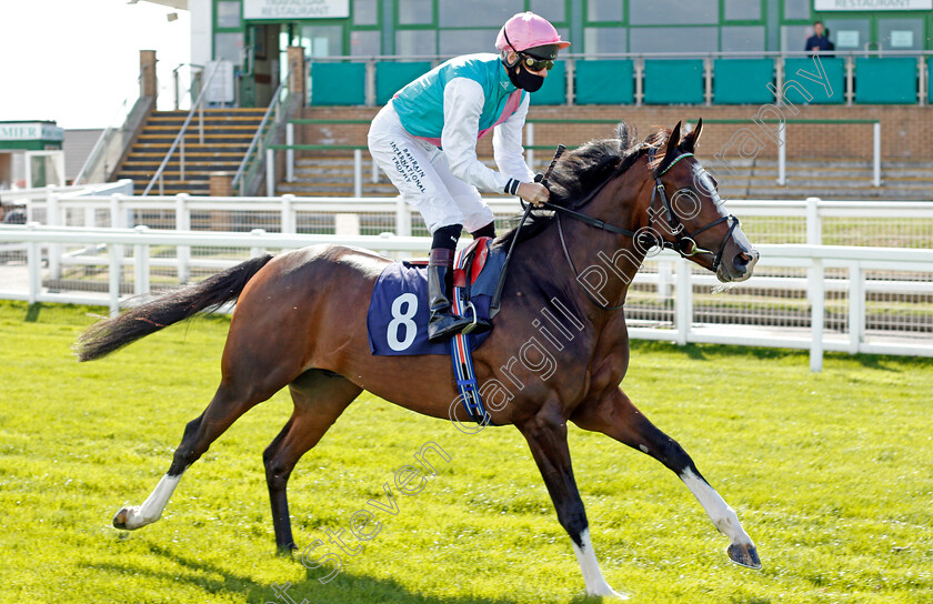 Side-Shot-0001 
 SIDE SHOT (Robert Havlin)
Yarmouth 25 Aug 2020 - Pic Steven Cargill / Racingfotos.com